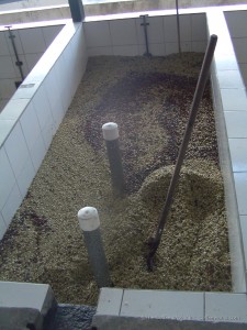 This beautifully-tiled fermentation tank is one of a battery at Selva Negra plantation.
